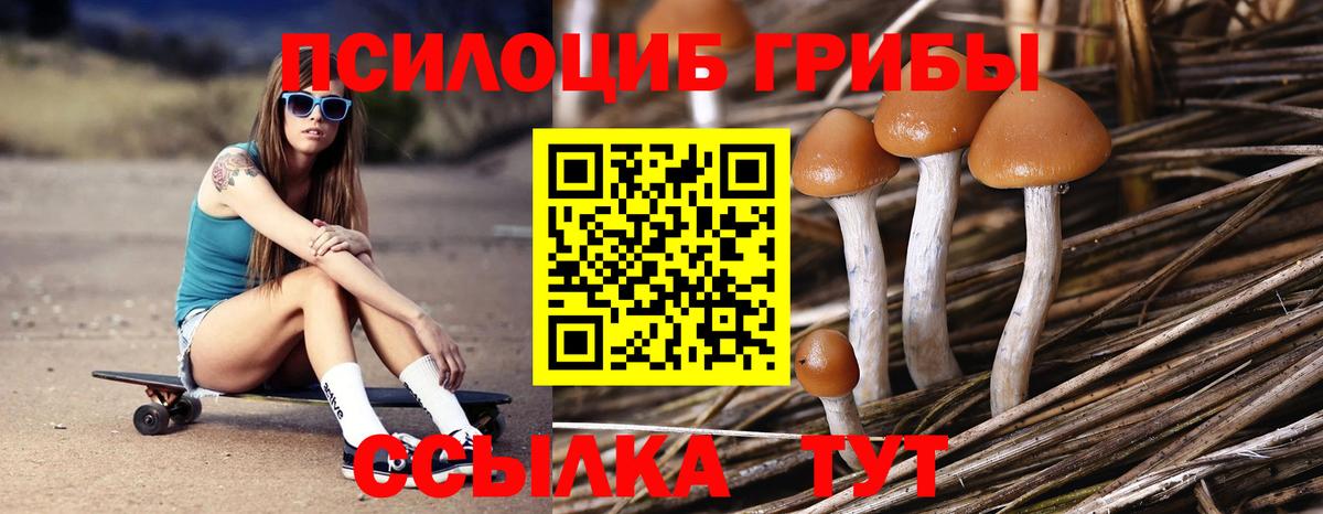 Галлюциногенные грибы прущие грибы  Псилоцибиновые грибы Magic Shrooms  Вход с VPN  Междуреченск 